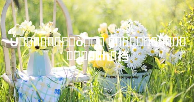 Ů��������ò��� ������˺���